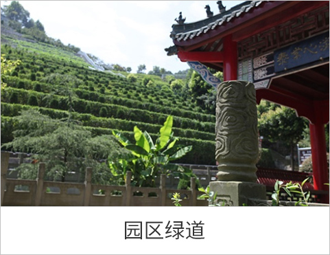 园区绿道