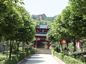 公墓风景