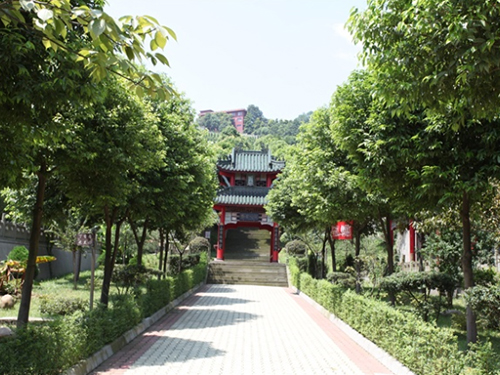 9、公墓风景.jpg
